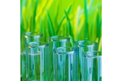 Image Bio-based packaging.